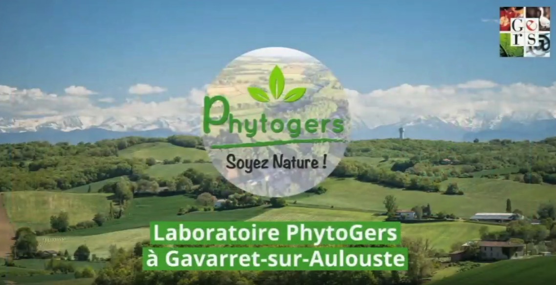 phytogers-septuors-cover
